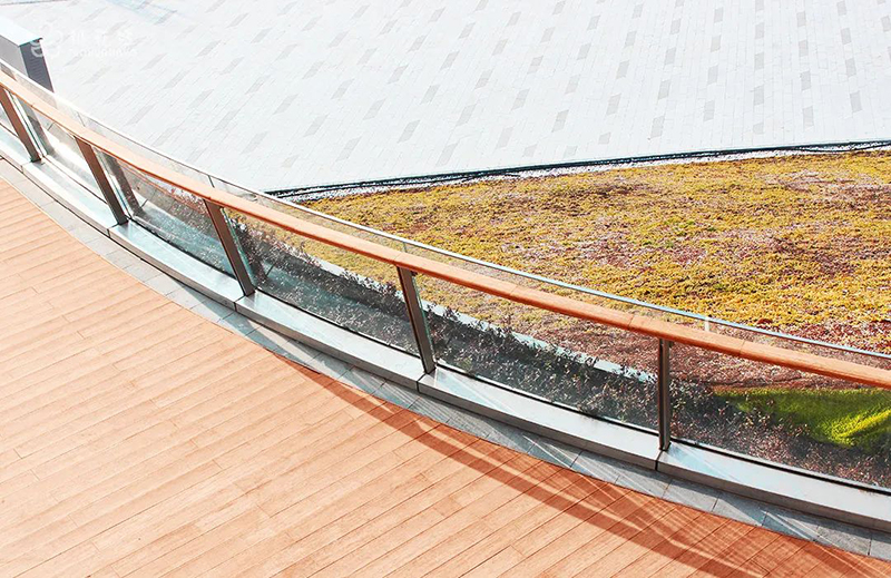 1651224644108467.jpg zygy-10.jpg