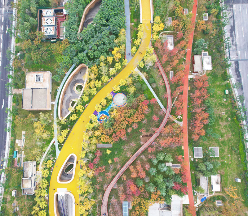 林梢棧道航拍 林梢棧道航拍