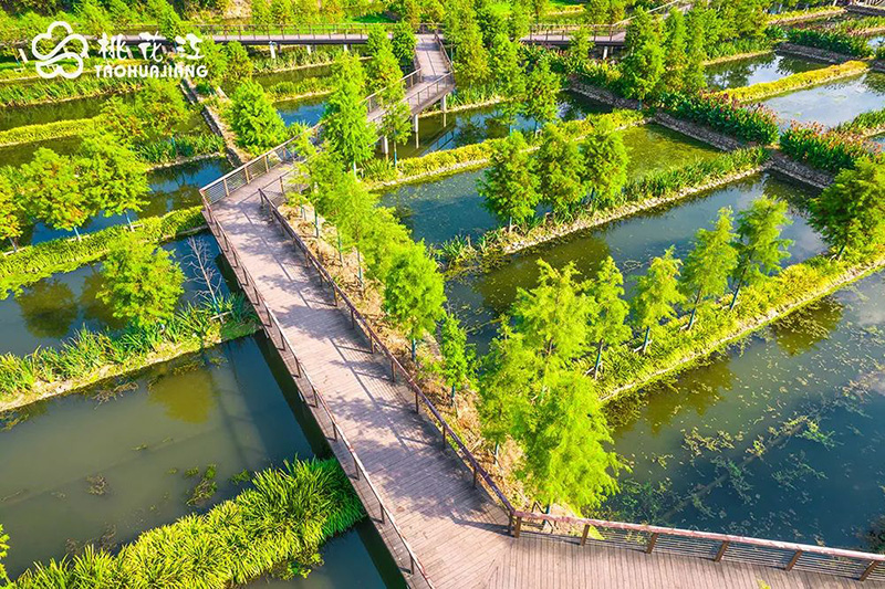 沙河濕地公園竹木步道 沙河濕地公園竹木步道