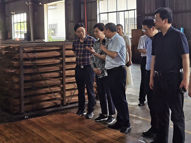 黃蘭香書(shū)記一行深入桃花江竹材生產(chǎn)車間調(diào)研