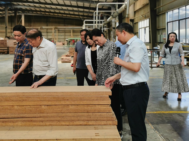 黃蘭香書(shū)記一行深入桃花江竹材車間調(diào)研
