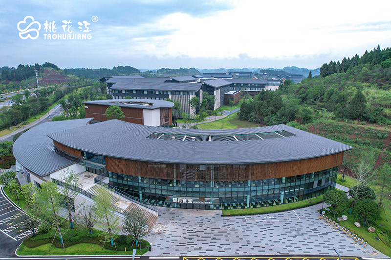 天府國際藝術(shù)城