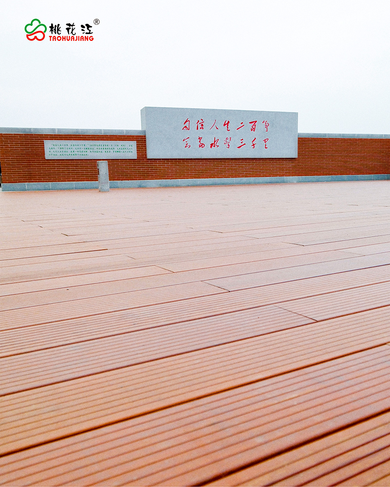 恰同學(xué)少年廣場(chǎng)